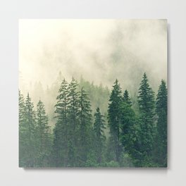 Oak Tree Forest Metal Print