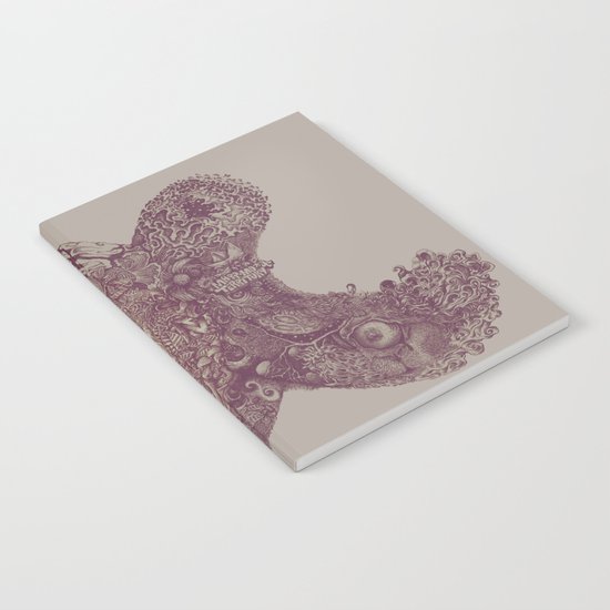 looking for Non-Infinity Notebook