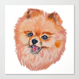 Stylized Pom Dog Canvas Print