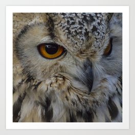 Eurasian eagle-owl, wild bird Art Print | Hornedowl, Digital, Forestbird, Largebird, Aquilachrysaetos, Photo, Color, Eurasianeagle Owl, Gunaandersone, Gunadesign 