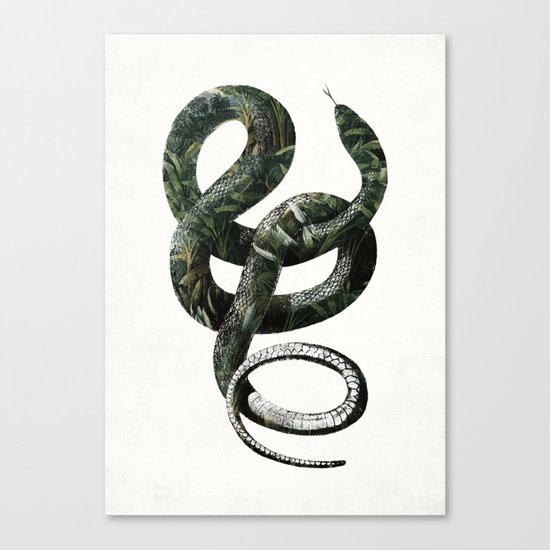 Jungle Snake Canvas Print