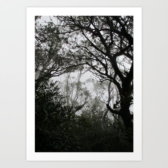 A Walk in the Clouds #2 Art Print