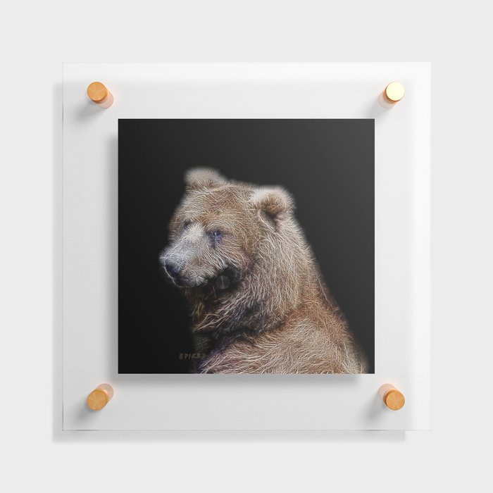 Spiked Brown Bear Floating Acrylic Print