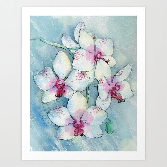 Orchids 01 Art Print