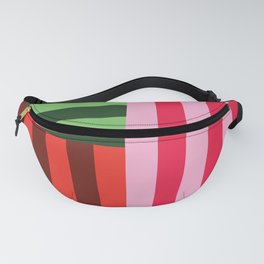 Round Point - Mixed Bag Fanny Pack