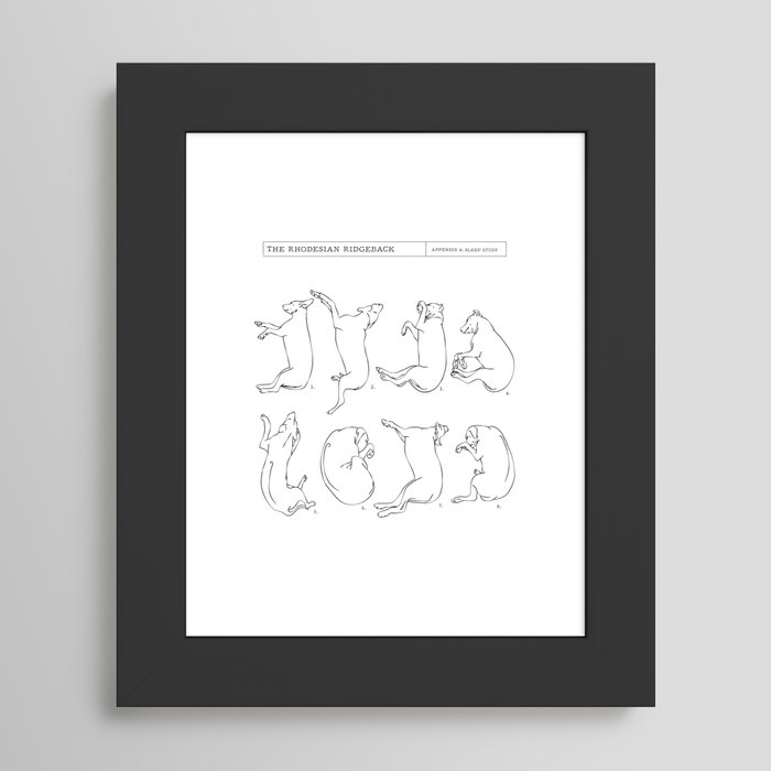 Framed Art Print