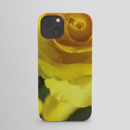 The Perfect Yellow Rose iPhone Case