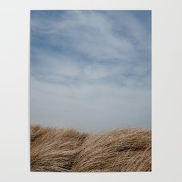 Sand dunes | Beach life | Nature | Photography art print Poster