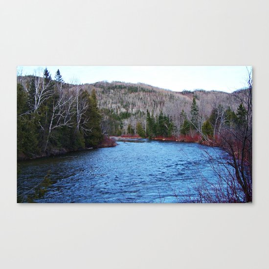 River in Nature Canvas Print