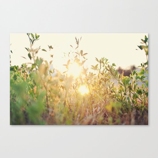 Sun Rising Canvas Print
