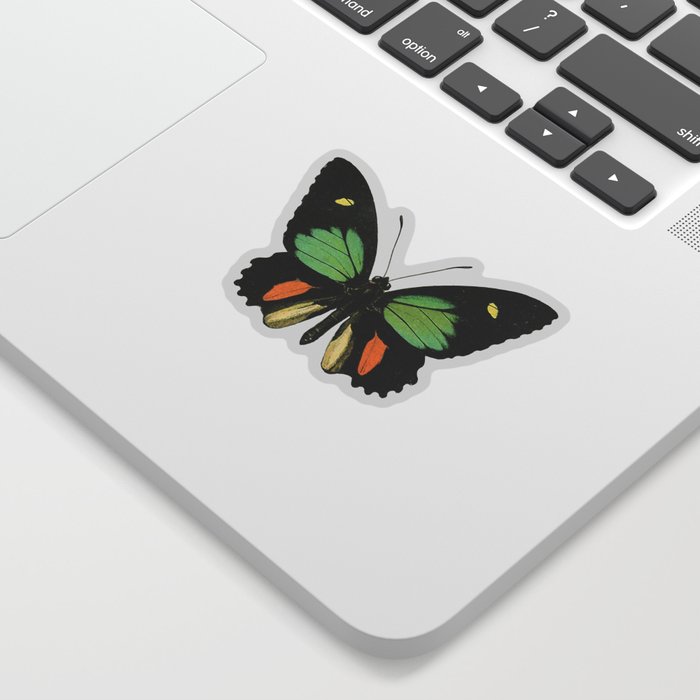 Butterflies Vintage Illustration Sticker