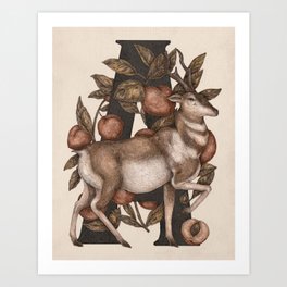 Letter A: Antelope & Apricots Art Print