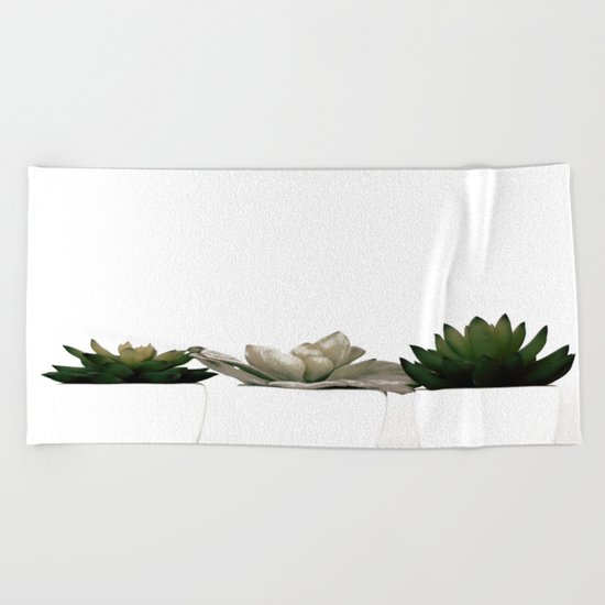 Lovely green cactus - cacti in white pots on a white background Beach Towel