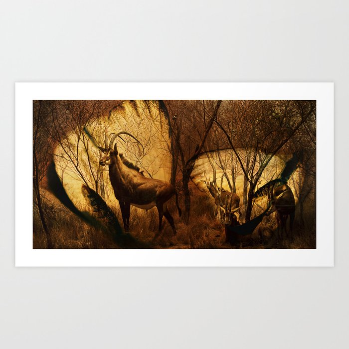 Diorama :: Antelope Art Print