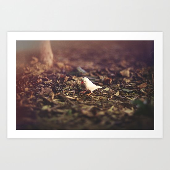 Early Birdie Art Print
