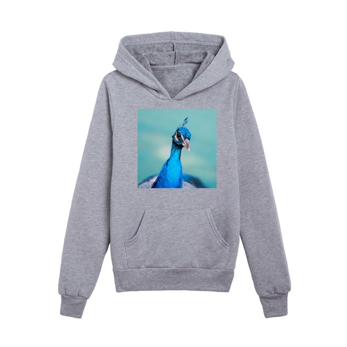Peacock blue hoodie on sale