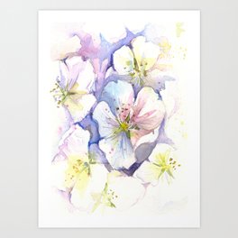 Cherry Blossoms Flowers Spring Floral Art Print