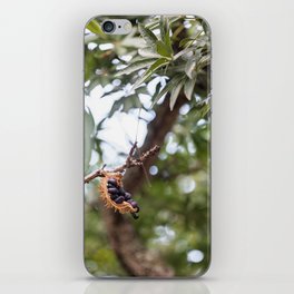 tree iPhone Skin