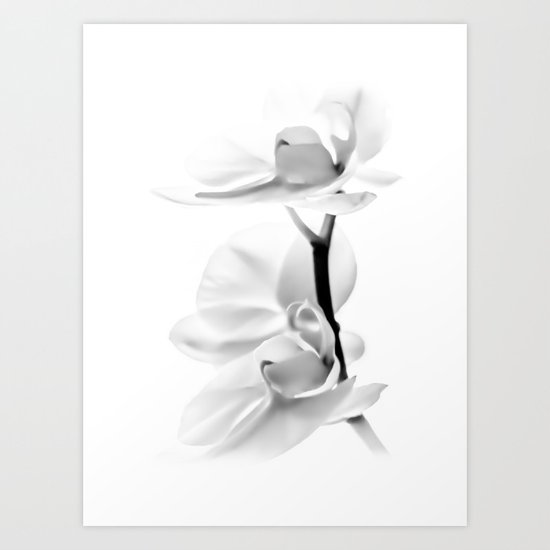 orchid Art Print