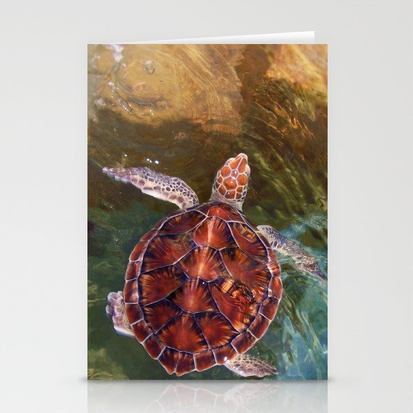 Baby  Sea Turtle Stationery Cards