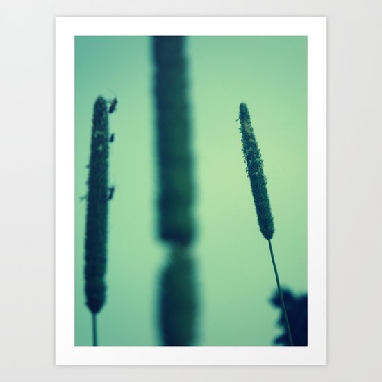 Stalked Art Print