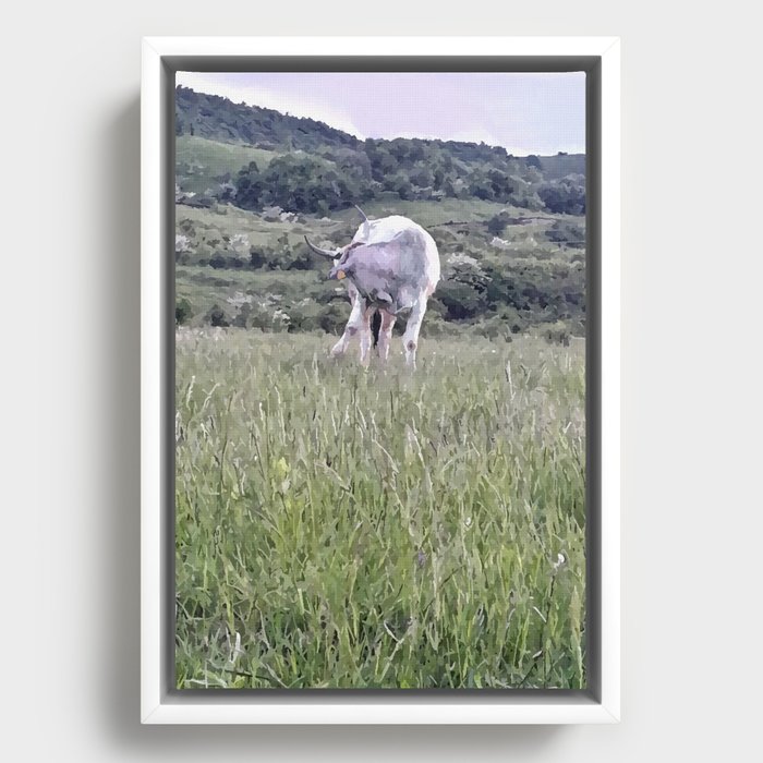White cow pasture Framed Canvas