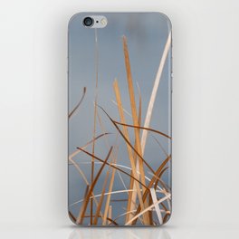 Free flowing marsh grass iPhone Skin