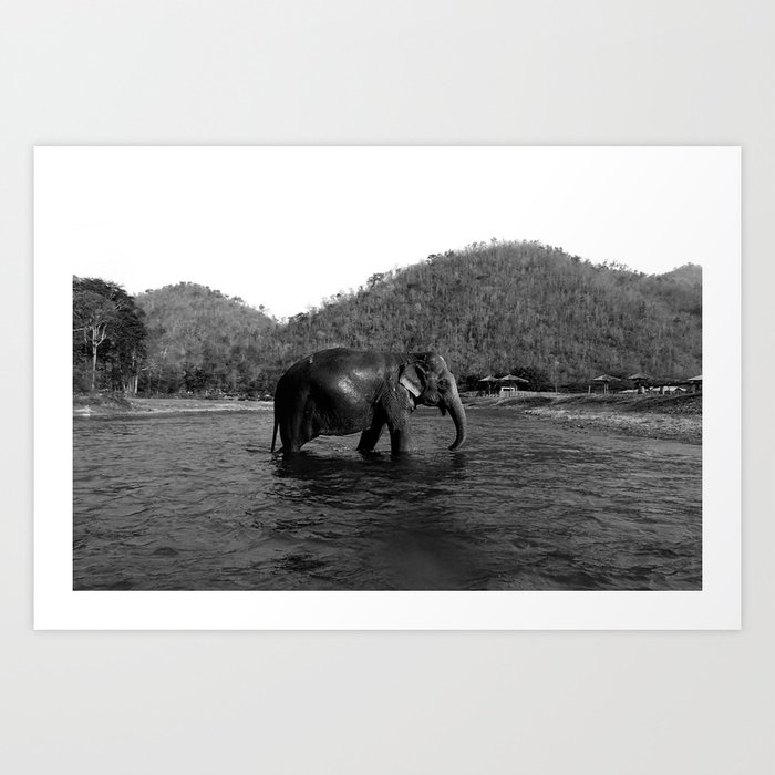 Elephant Sanctuary Art Print