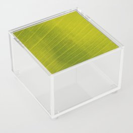 Green Leaf Acrylic Box