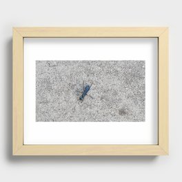 Blue Bug Friend Recessed Framed Print