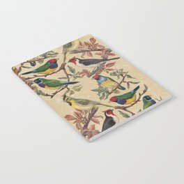 Vintage Birds Notebook