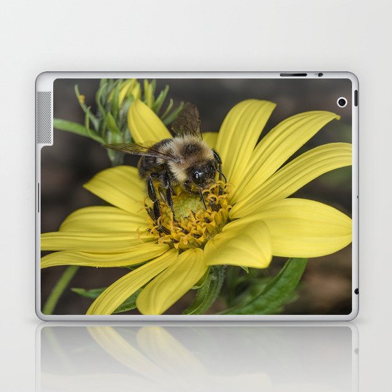 Busy as a Bee Laptop & iPad Skin