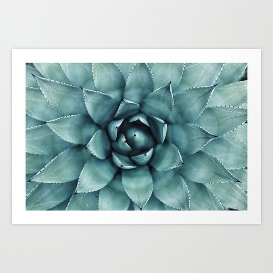succulents Art Print