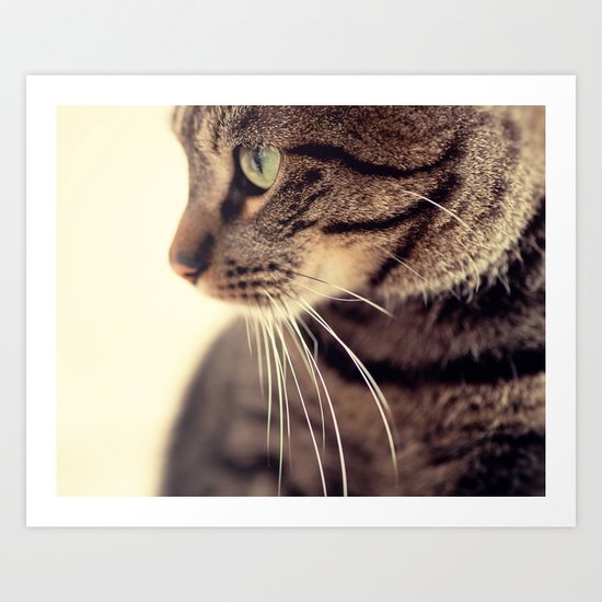 Kitty Love 2 Art Print