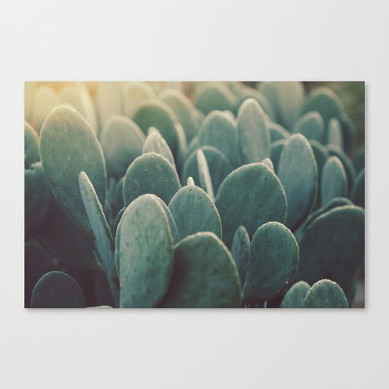 Green + Gold Canvas Print