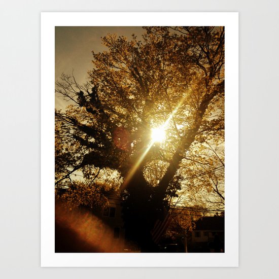 Sunset Behind the Tree Art Print
