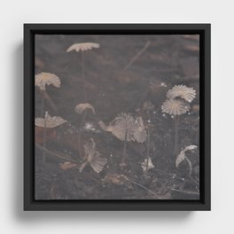 Magical Mushrooms Framed Canvas