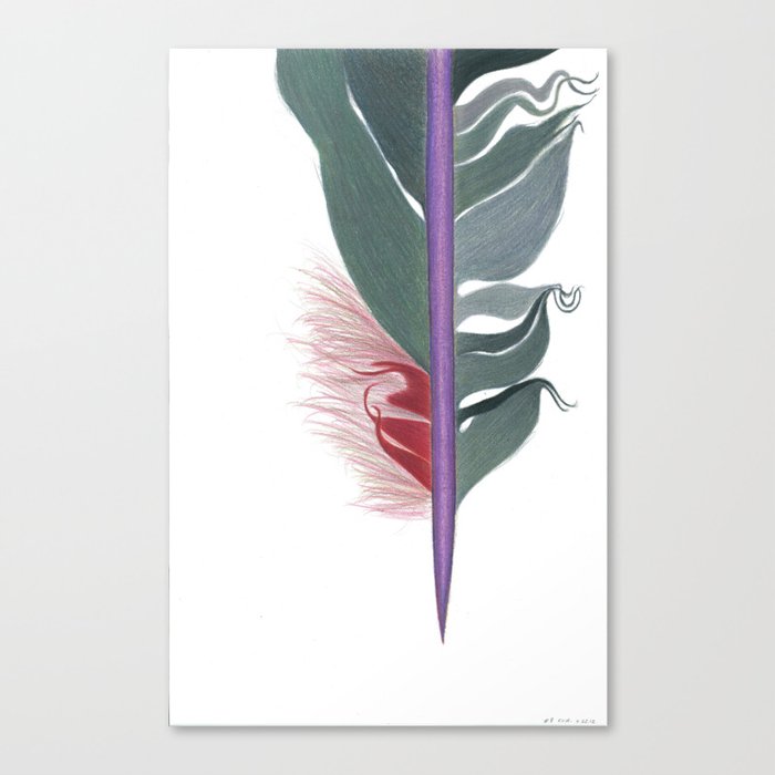 Feather #8 Canvas Print