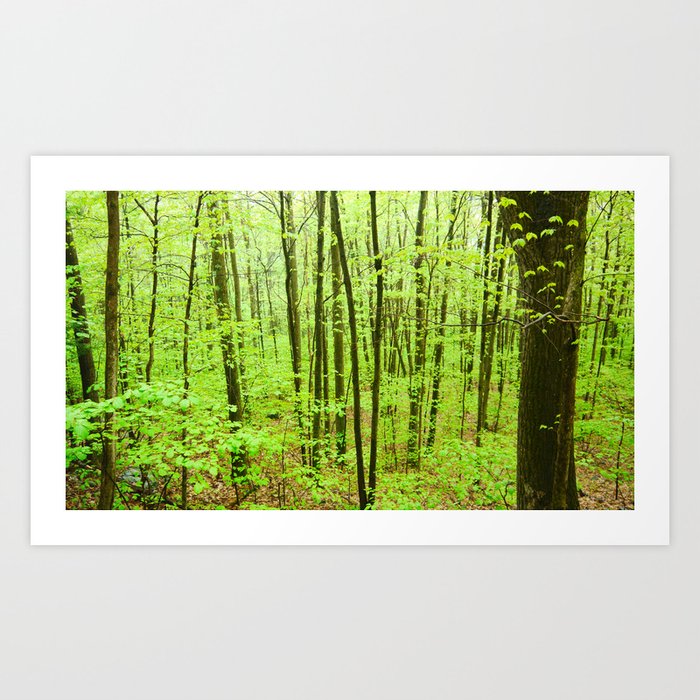 Forest in Spring Art Print