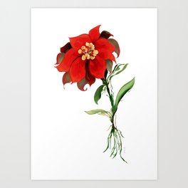 Floral Plant Collection: No. 26 Art Print