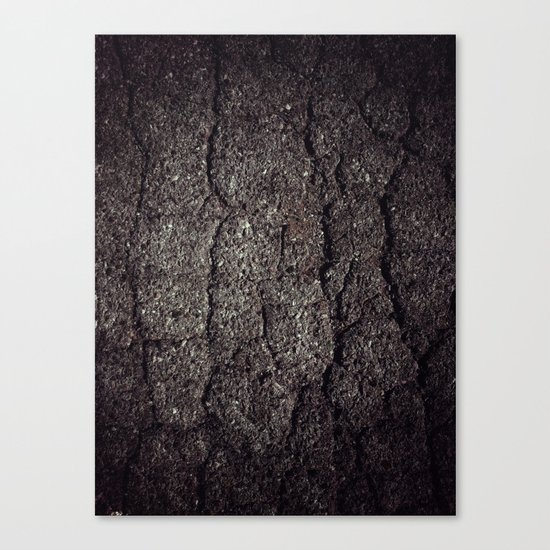 Cracked asphalt road Canvas Print