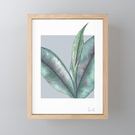 Rubber Tree Plant Framed Mini Art Print | Ink, Botanical, Leaf, Leaves, Watercolor, Painting, Illustration, Rubbertreeplant, Vintage, Nature 