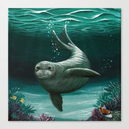 "Hawaiian Monk Seal" by Amber Marine ~ Acrylic Painting, (Copyright 2015) Canvas Print