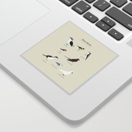 Dirty Birds Sticker