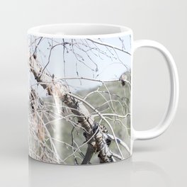 Nature - Tree 2 Coffee Mug | Digital, Tree, Photo, Art, Desert, Color, Nature, California 