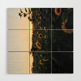 Sunflower field, out east, LI, photography, photo nature, sunset Wood Wall Art