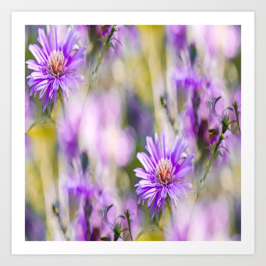 Summer dream - purple flowers - happy and colorful mood Art Print