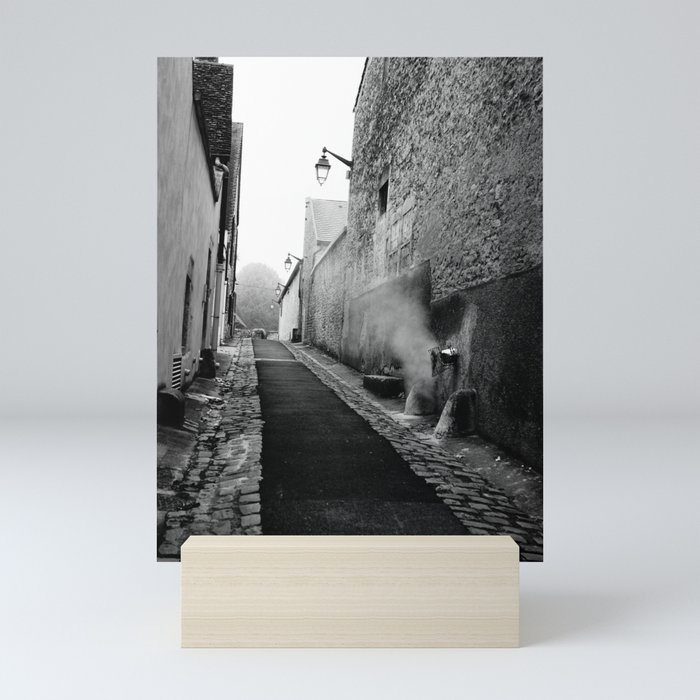 Mini Art Print