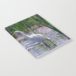 Great Egret (Ardea alba) Notebook