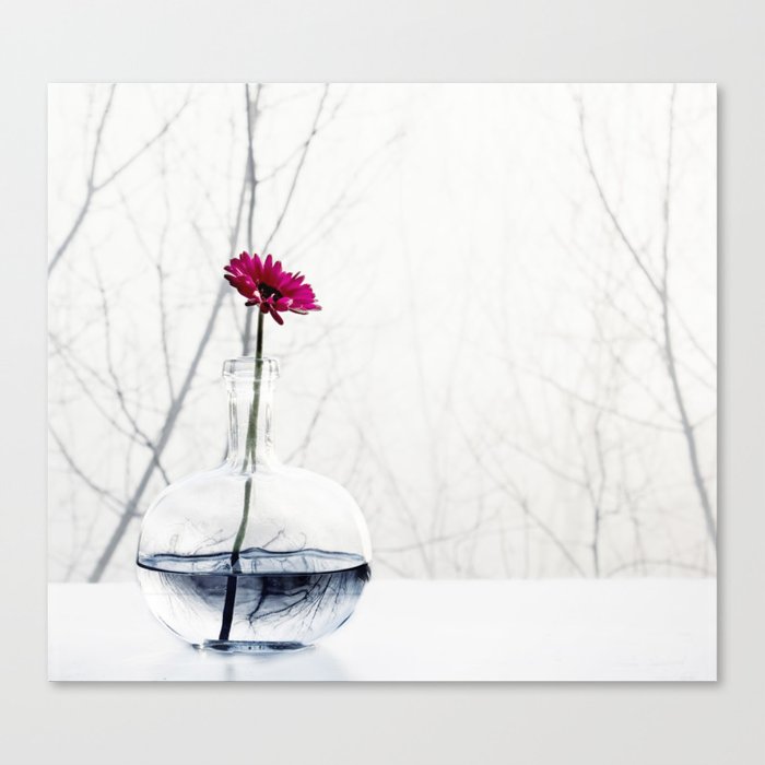 Red Gerbera Daisy Flower Art Print - White Minimal Floral photography Canvas Print